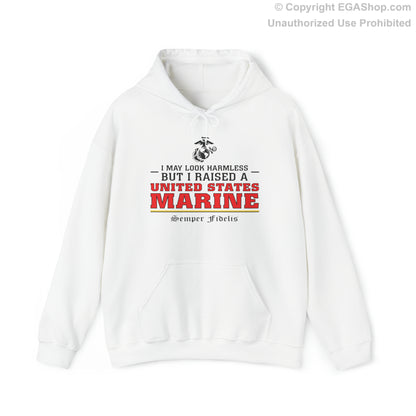 Hoodie: I May Look Harmless but I Raised a US Marine