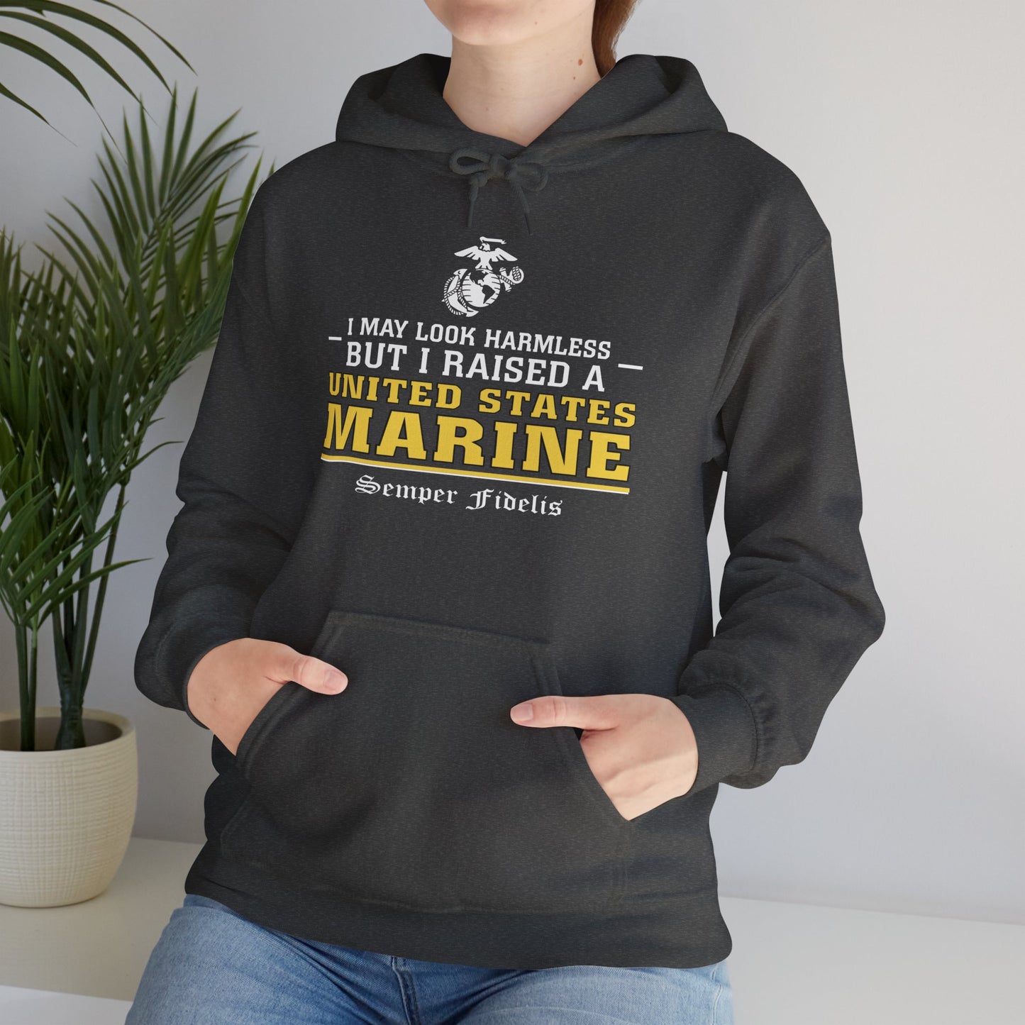 Hoodie: I May Look Harmless but I Raised a US Marine