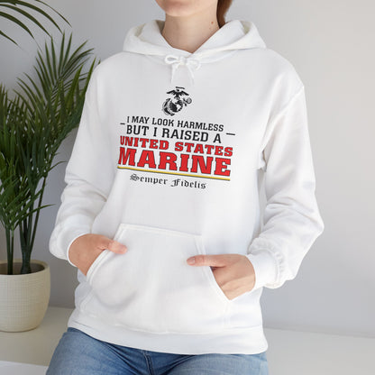 Hoodie: I May Look Harmless but I Raised a US Marine